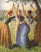 Camille Pissarro Planting scenes oil painting on canvas